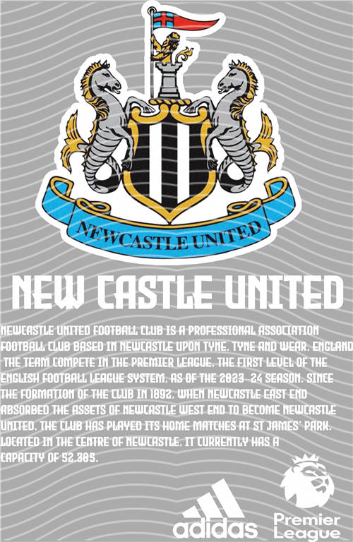 NBA and Team-QD 1160